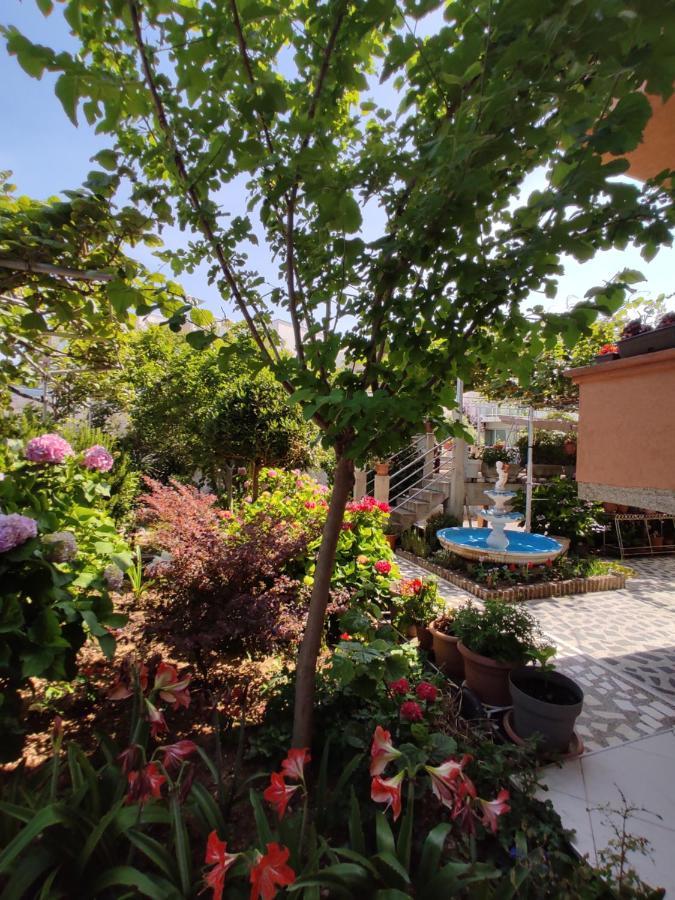 Apartments Baja Ulcinj Exterior foto